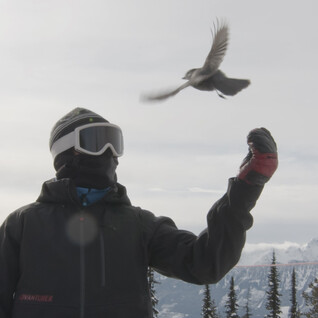 person wearing advanturer gear with bird in background on mountain